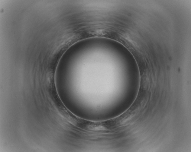 X0000089710747200706211343