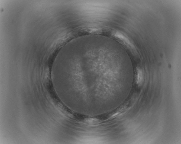 X0000089710748200706211343