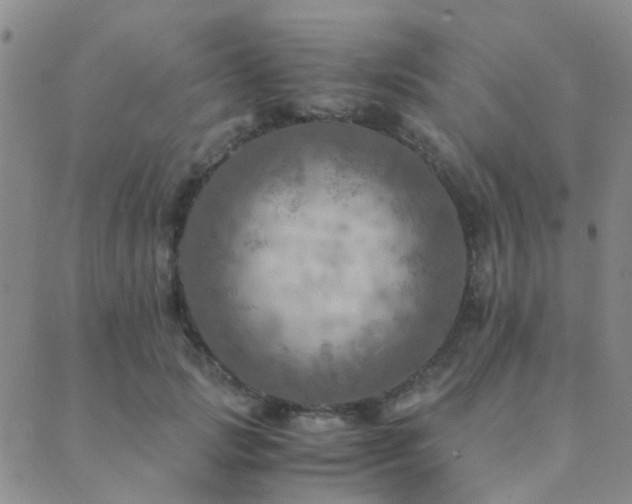 X0000089710749200706211343