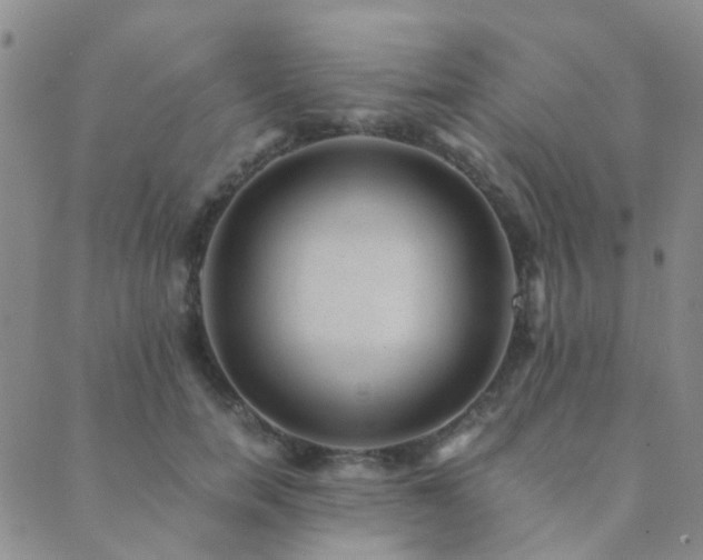 X0000089710750200706211343