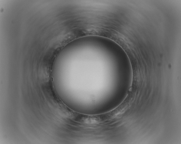 X0000089710751200706211343