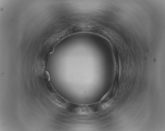 X0000089710752200706211343