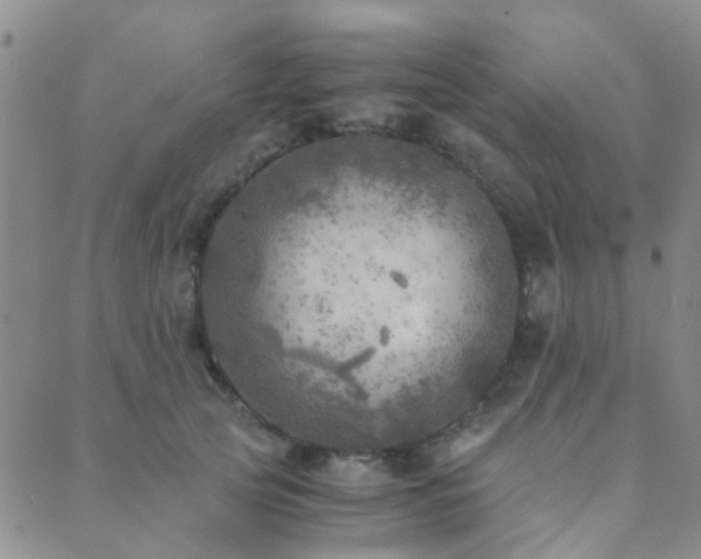 X0000089710753200706211343