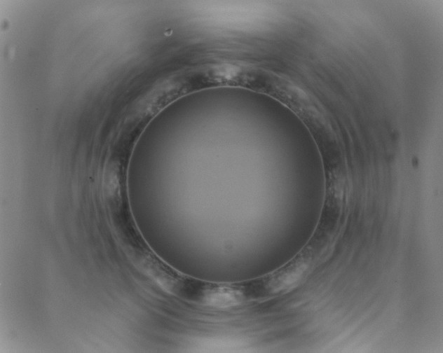 X0000089710754200706211343