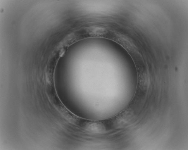 X0000089710755200706211343