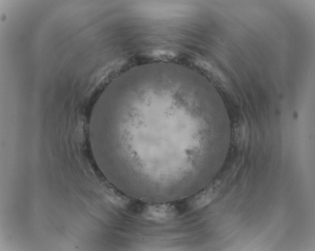 X0000089710757200706211343