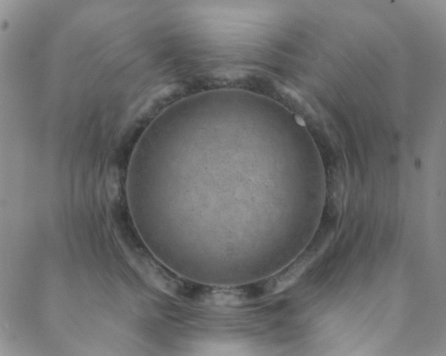 X0000089710758200706211343