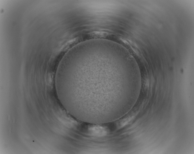 X0000089710759200706211343