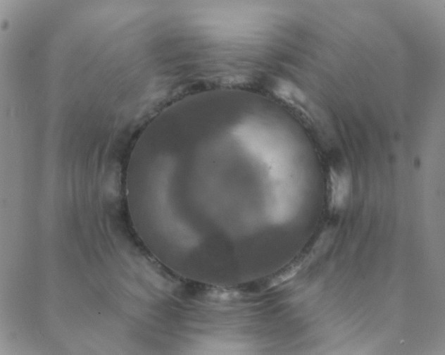 X0000089710760200706211343