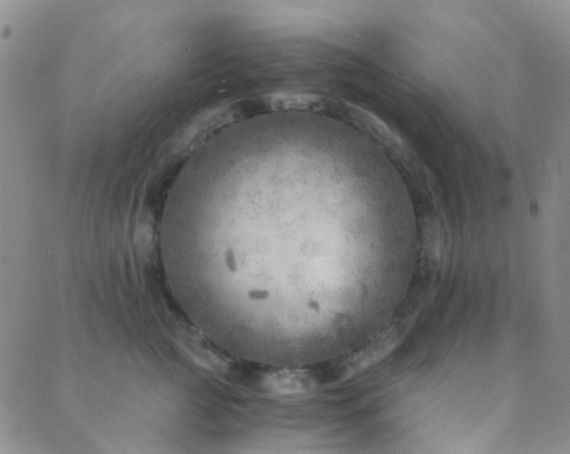 X0000089710761200706211343