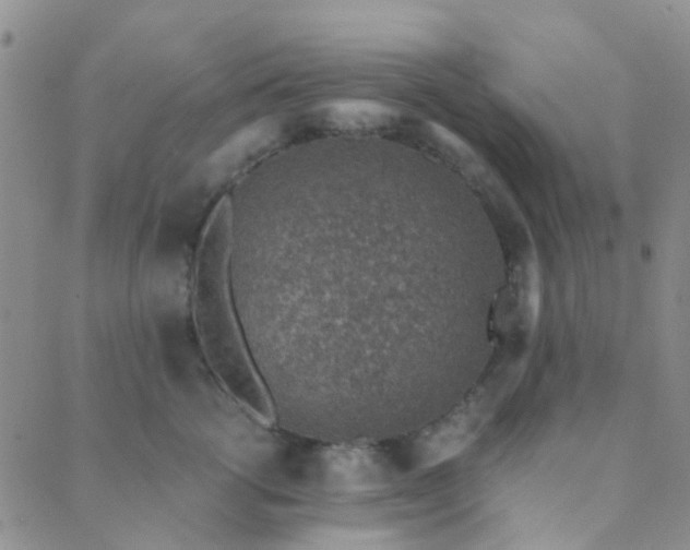 X0000089710762200706211343