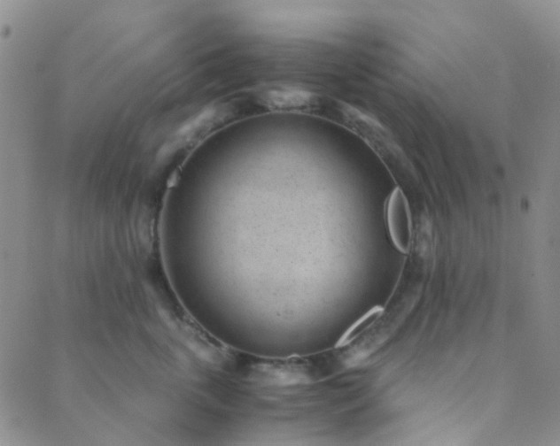 X0000089710763200706211343