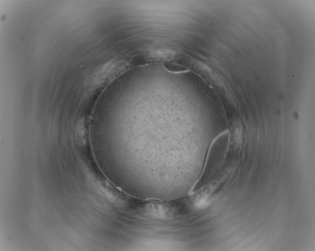 X0000089710764200706211343