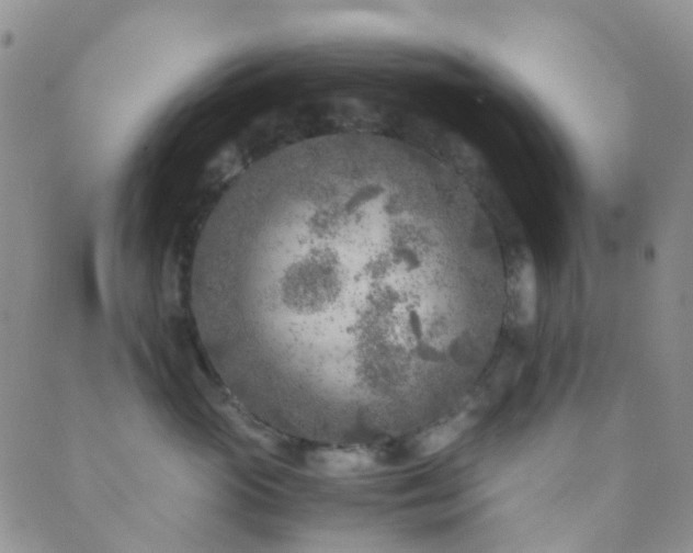 X0000089710765200706211343