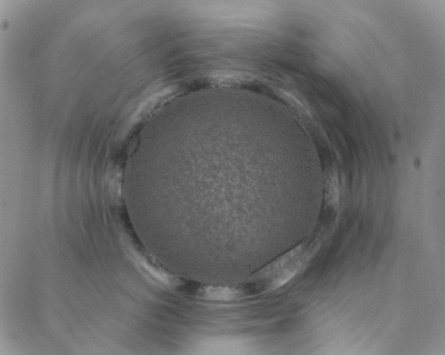 X0000089710766200706211343