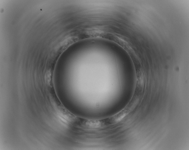 X0000089710767200706211343