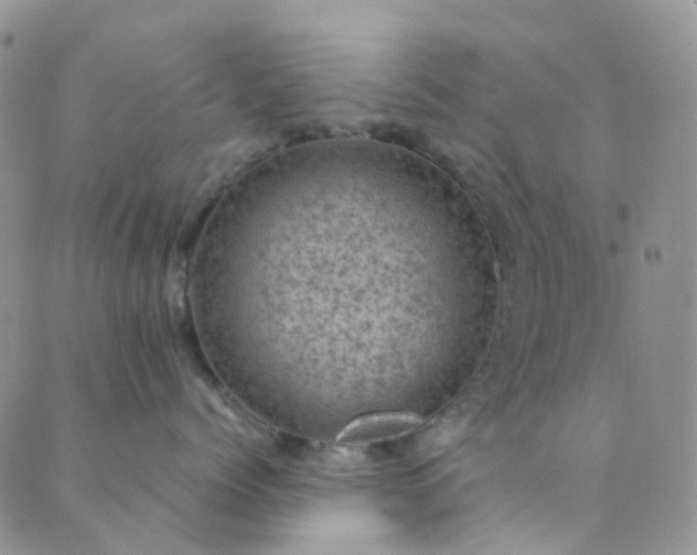 X0000089710768200706211343