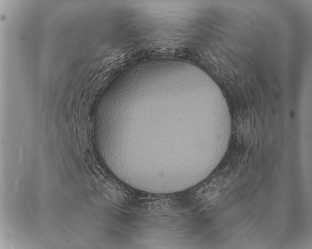 X0000089710769200706211342