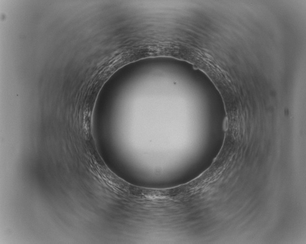 X0000089710770200706211342