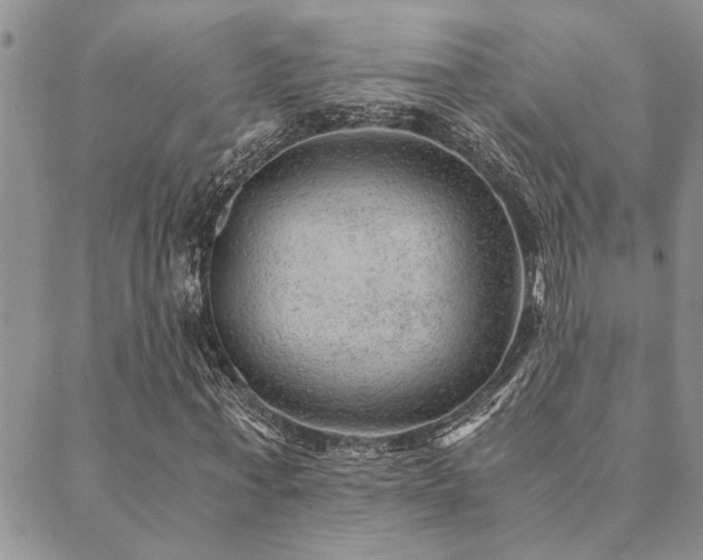 X0000089710771200706211342