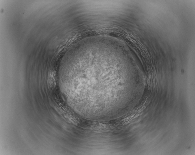 X0000089710772200706211342