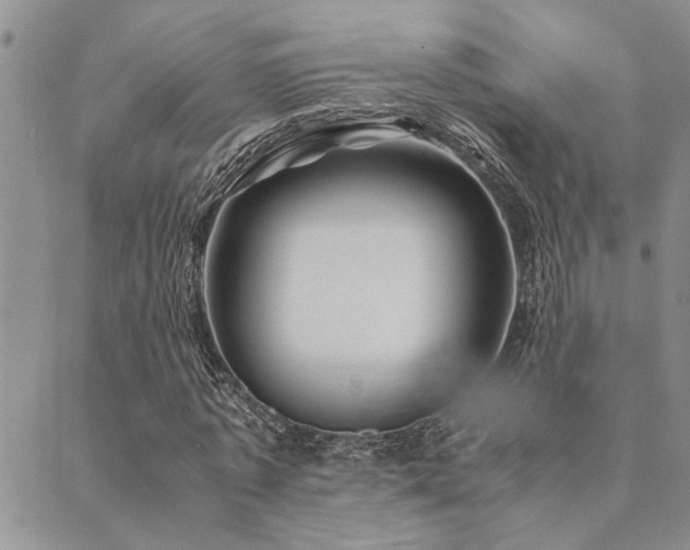 X0000089710773200706211342