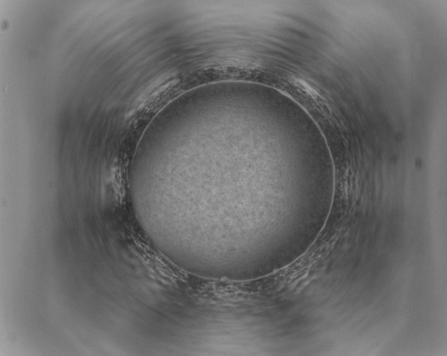 X0000089710774200706211342