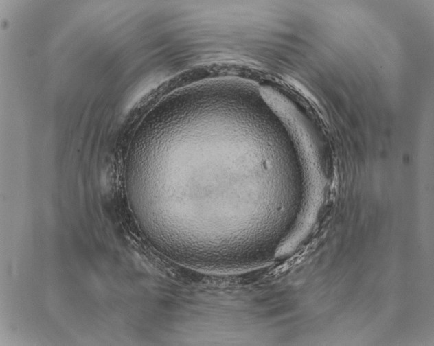 X0000089710775200706211342