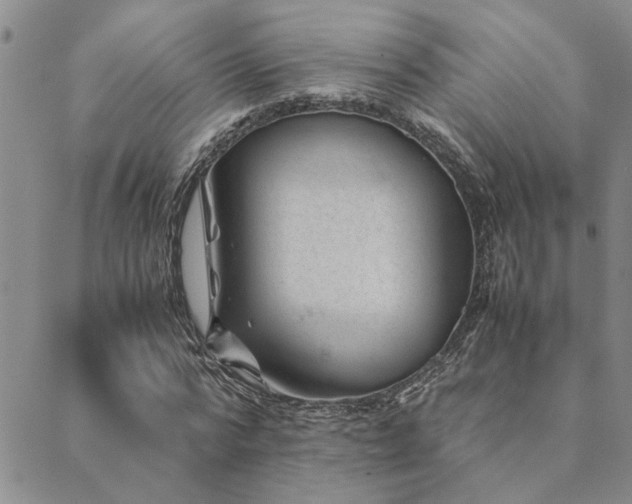 X0000089710776200706211342