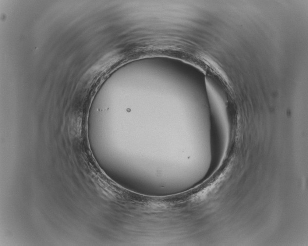 X0000089710777200706211342