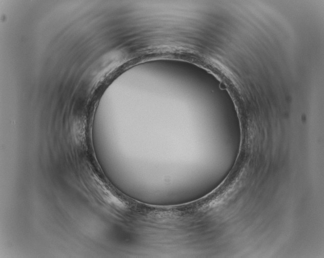 X0000089710778200706211342