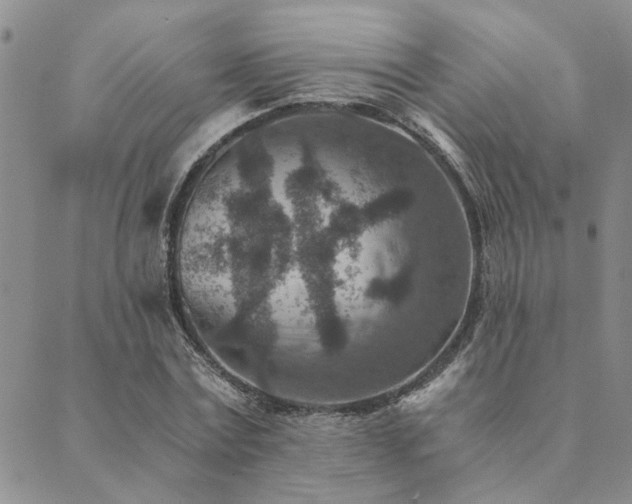 X0000089710779200706211342