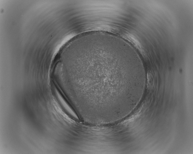 X0000089710780200706211342