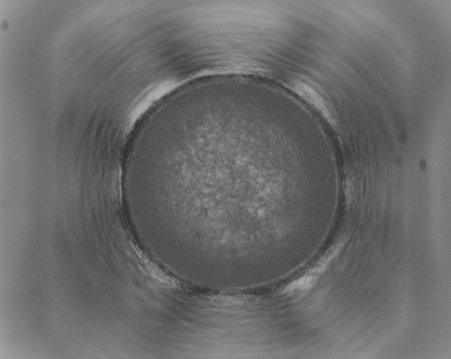 X0000089710781200706211342