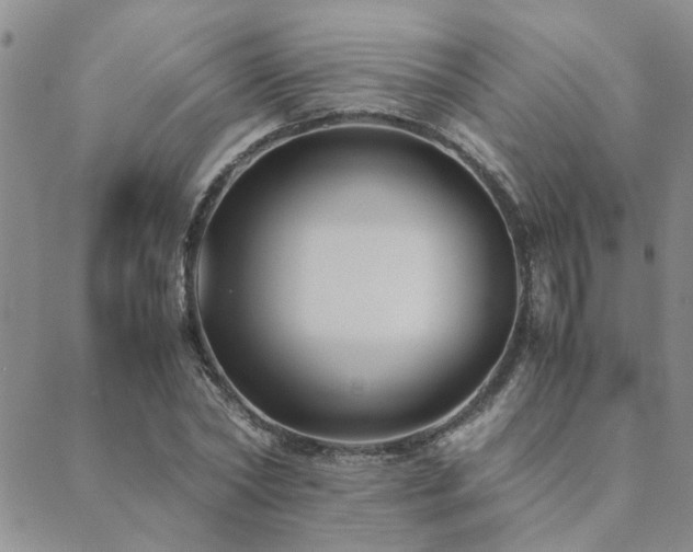 X0000089710782200706211342