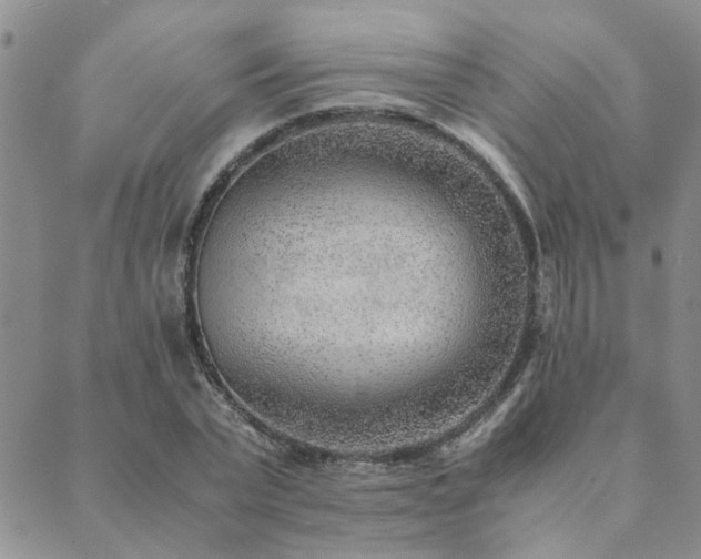 X0000089710783200706211342