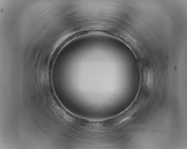 X0000089710784200706211342