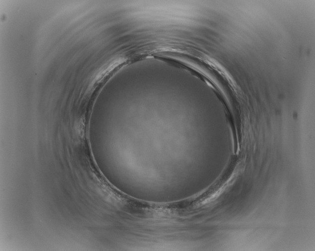 X0000089710785200706211342