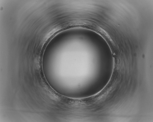 X0000089710786200706211342