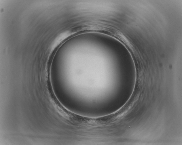 X0000089710787200706211342