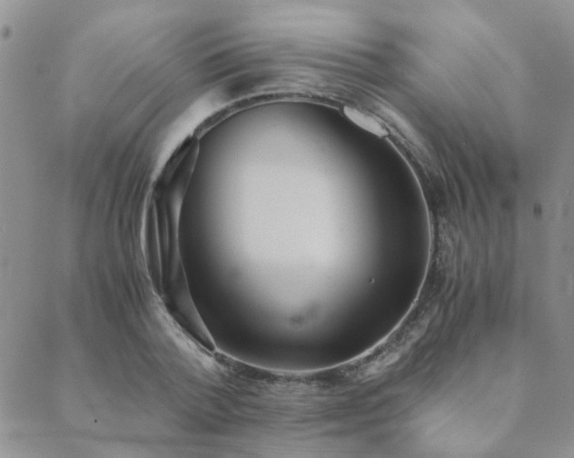 X0000089710788200706211342