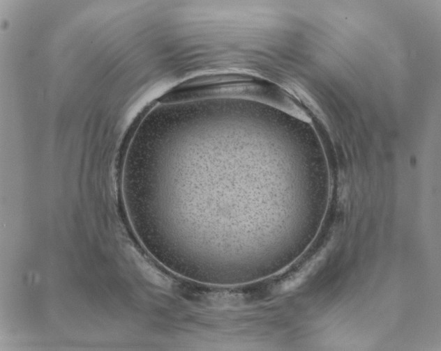 X0000089710789200706211342