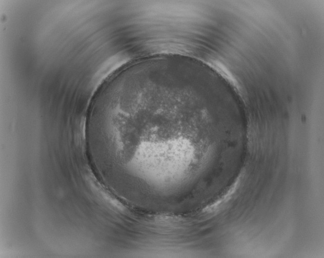 X0000089710790200706211342