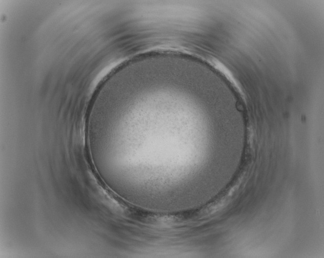 X0000089710791200706211342