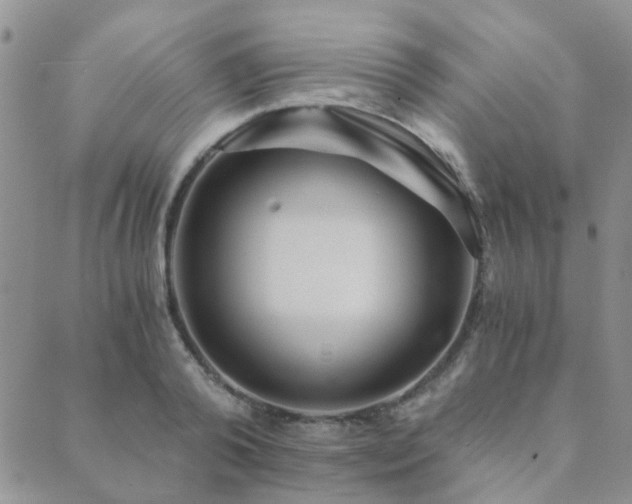 X0000089710792200706211342