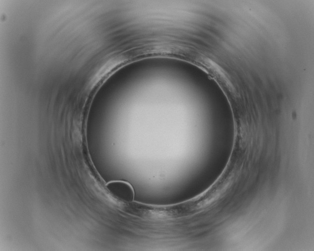 X0000089710794200706211342