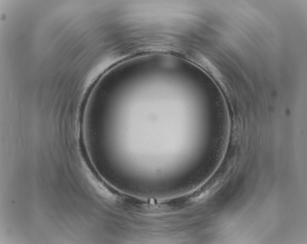 X0000089710795200706211342