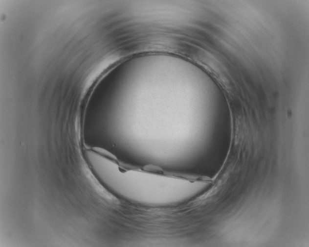 X0000089710796200706211342