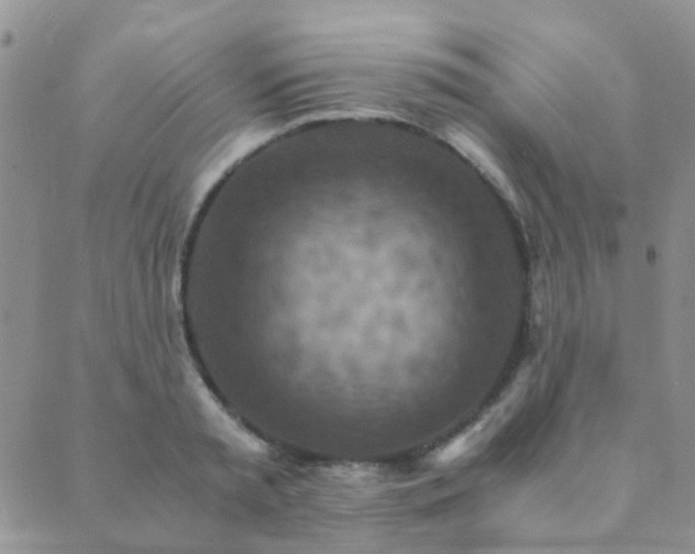 X0000089710797200706211342