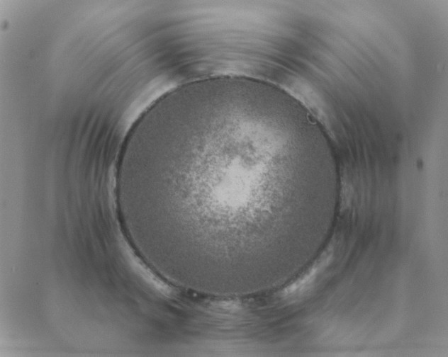 X0000089710798200706211342